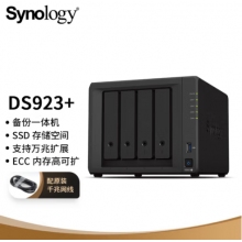群暉（Synology）DS923+ 雙核心 4盤(pán)位 NAS網(wǎng)絡(luò)存儲(chǔ)服務(wù)器