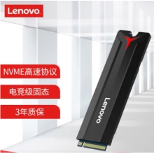 聯(lián)想（Lenovo) 1TB SSD固態(tài)硬盤(pán) M.2接口(NVMe協(xié)議) SL700拯救者系列 2280板型